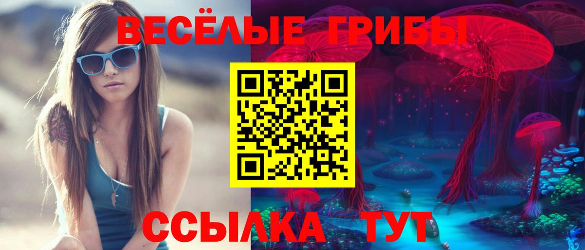 Псилоцибиновые грибы Psilocybe  Вход с VPN  Псилоцибиновые грибы Magic Shrooms  Старая Купавна 